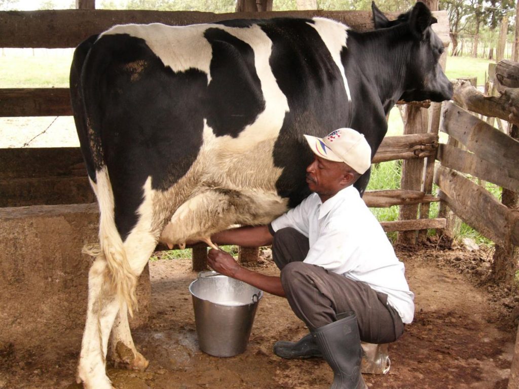 Types / Forms Of Farm Animals | Kofa Study Types / Forms Of Farm Animals | Kofa Study