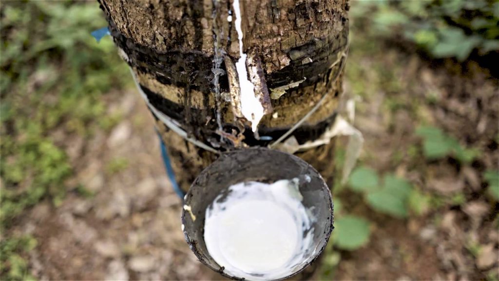 Natural Rubber_