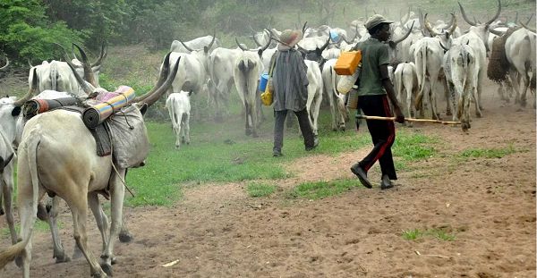 Normadic Herdsmen