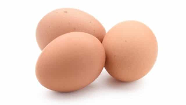 eggs