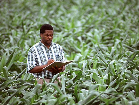 crop scientist