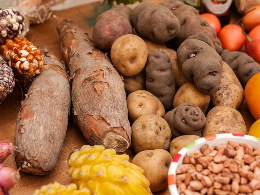 tuber root crops