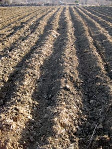 Pre-planting Operations 12 ridges
