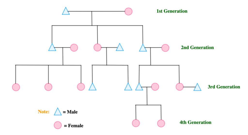 Extended family tree
