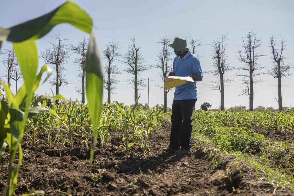 Keeping Records is an important Farming Activity