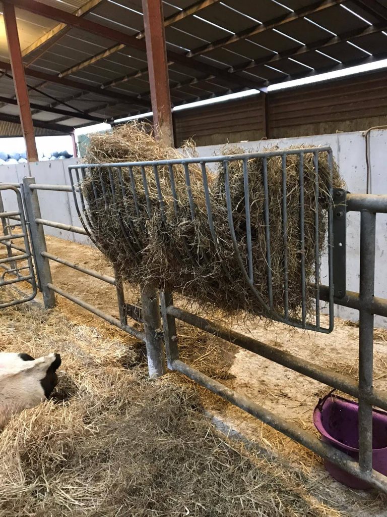Feeding Tools & Equipment For Farm Animals | Kofa Study Feeding Tools & Equipment For Farm Animals | Kofa Study
