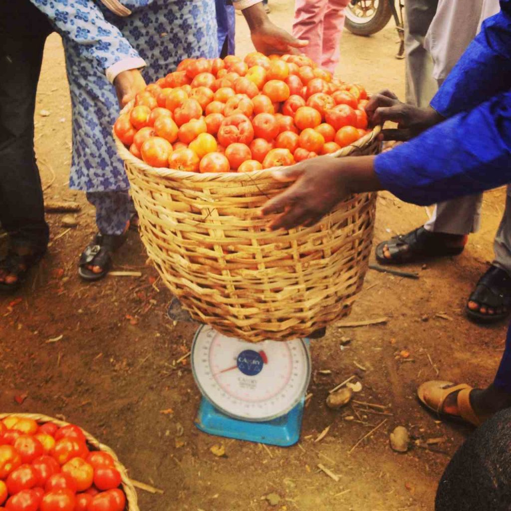 Local made baskets for packaging Tomatos