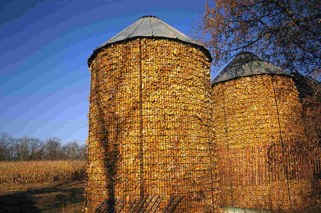 Storage in Agriculture 3 Maize Cribs