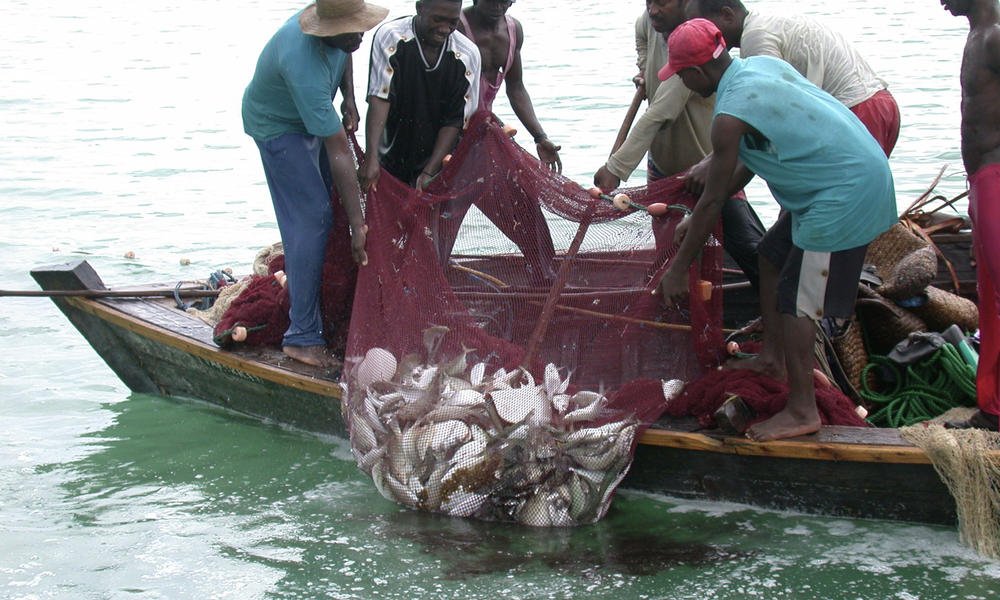 Niger Delta Fishermen