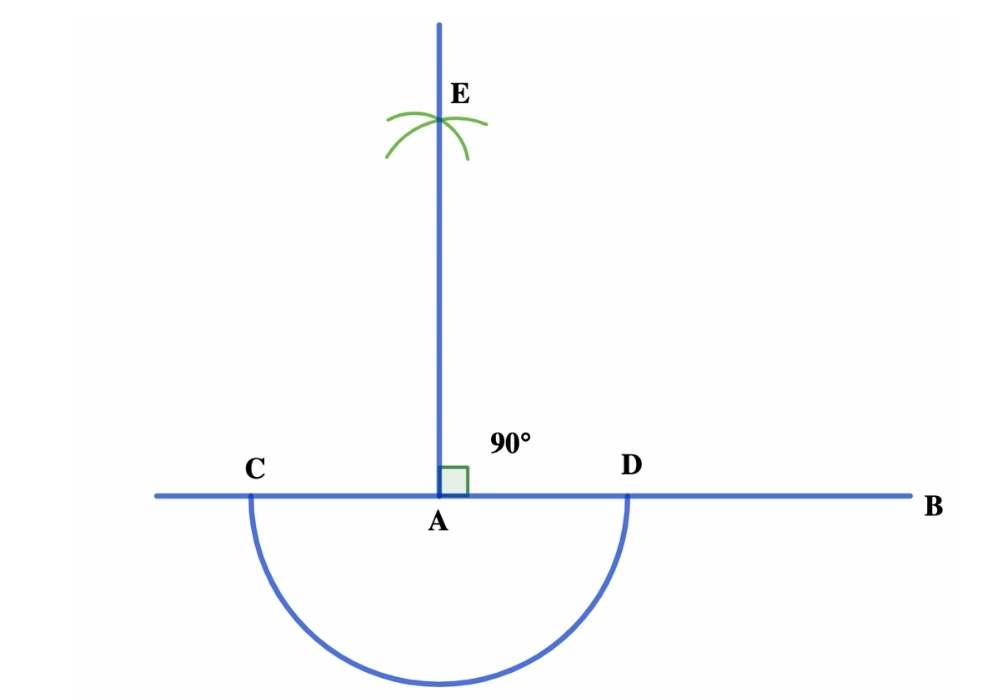 construct an angle - 90 degrees