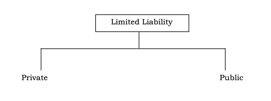 Limited Liability Company 1 Screenshot 2020 09 18 at 10.10.10