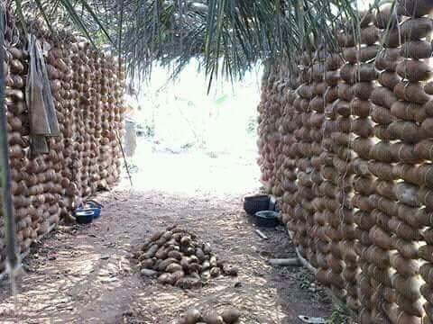 Storage in Agriculture 4 yam barn