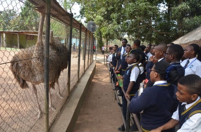 Zoological Graden In Ibadan