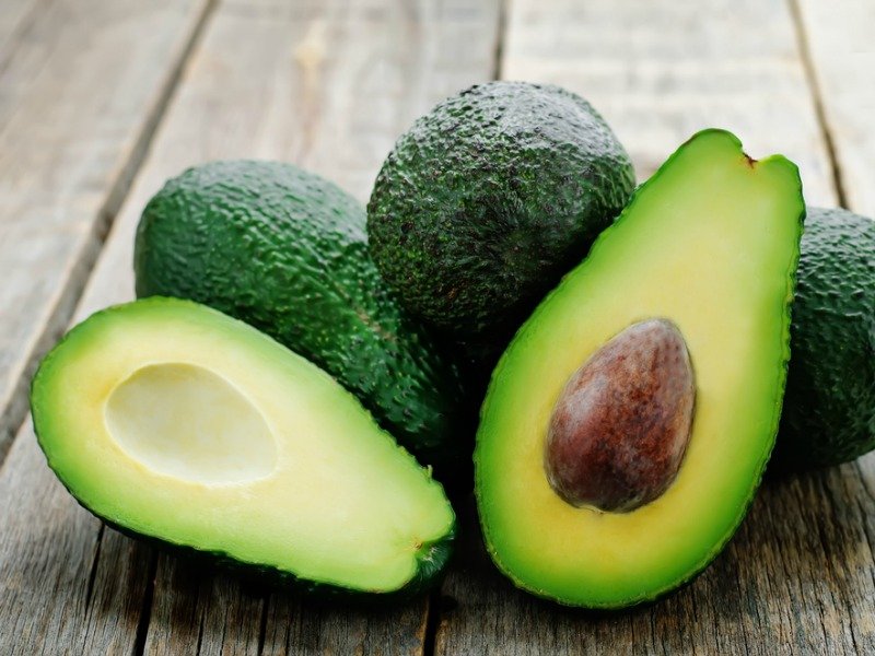The Life Span or Life Cycle of Crops 2 avocado