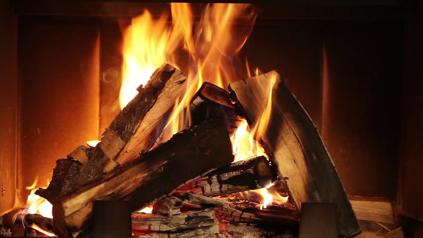 Uses and Importance of Living things 4 burning wood in the fireplace