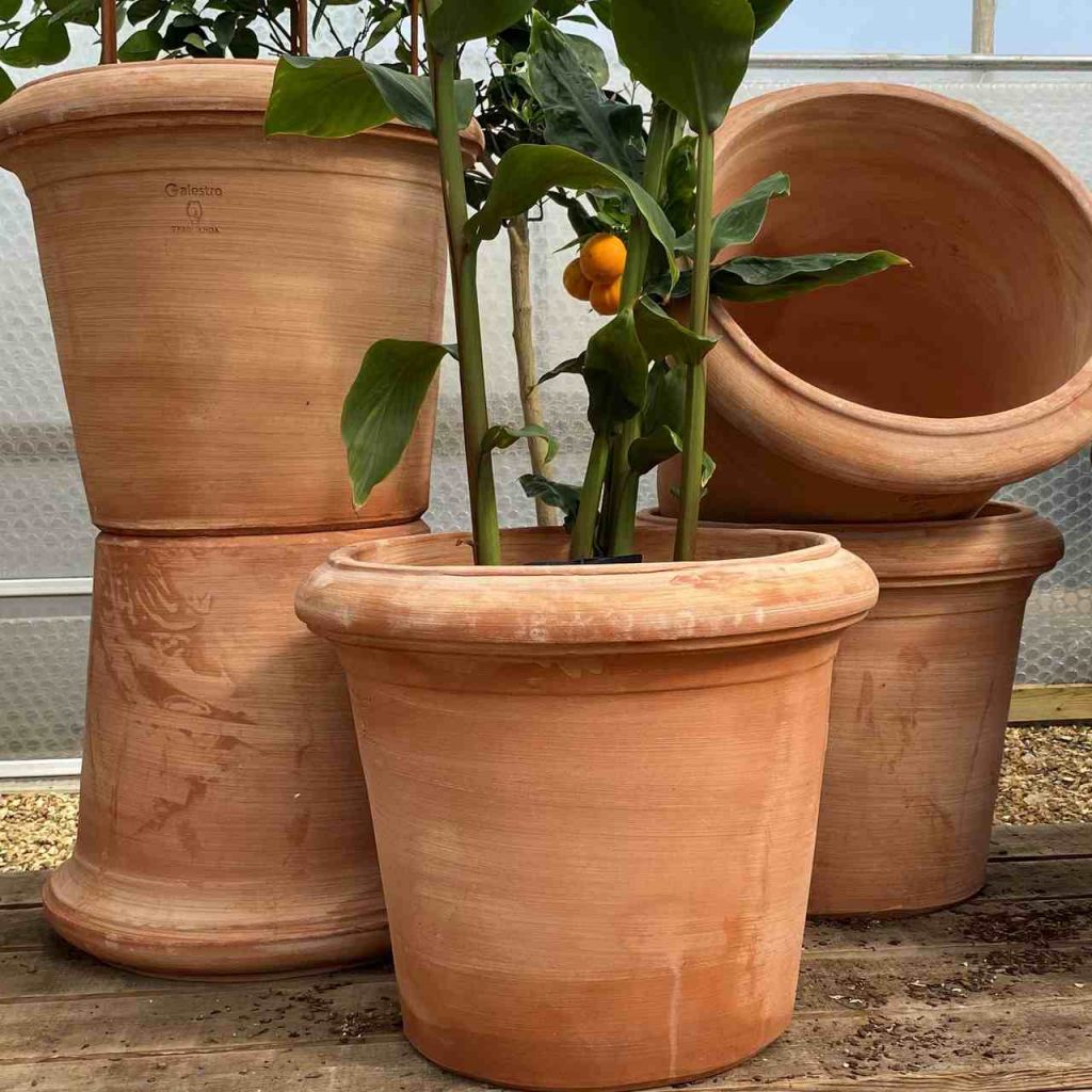 clay pots Easy Resize.com