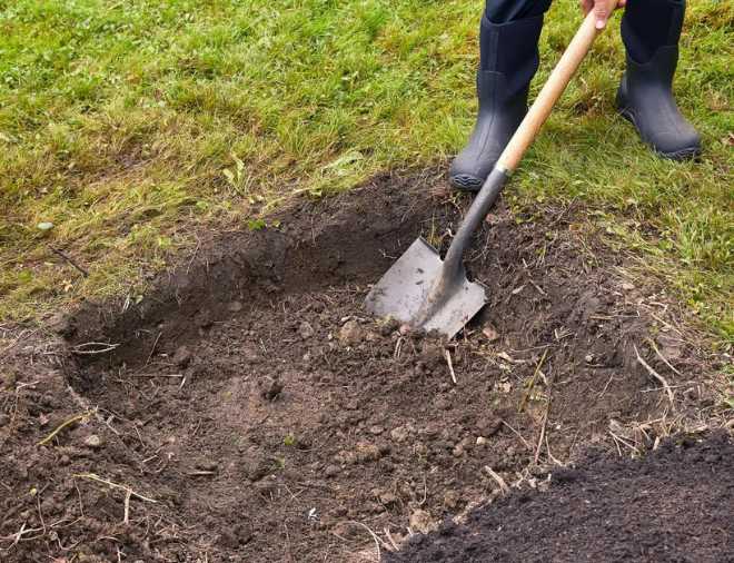 compost pit 1