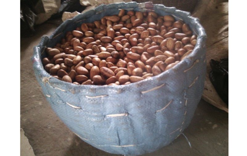 local basket with kola nuts in it