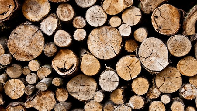 properties of wood