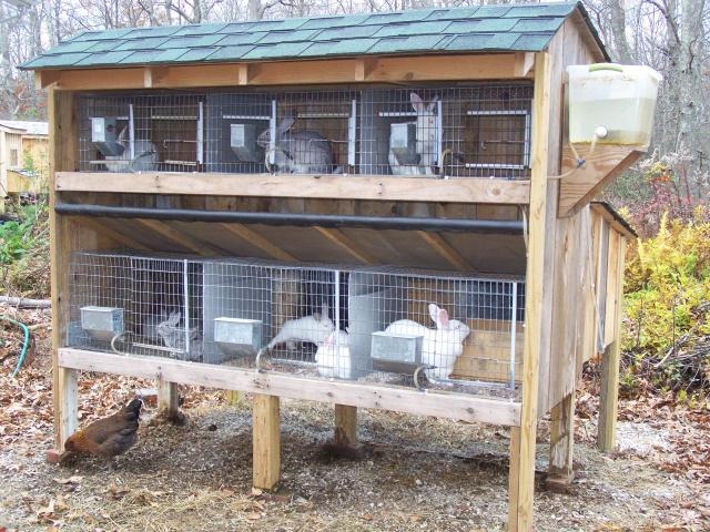Definition & Types of Farm Structures 11 typical-rabbit-hutch