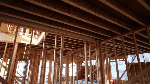 Uses and Importance of Living things 3 wood - timber - construction