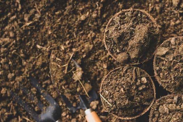 Resources from Animals 9 Cow Dung