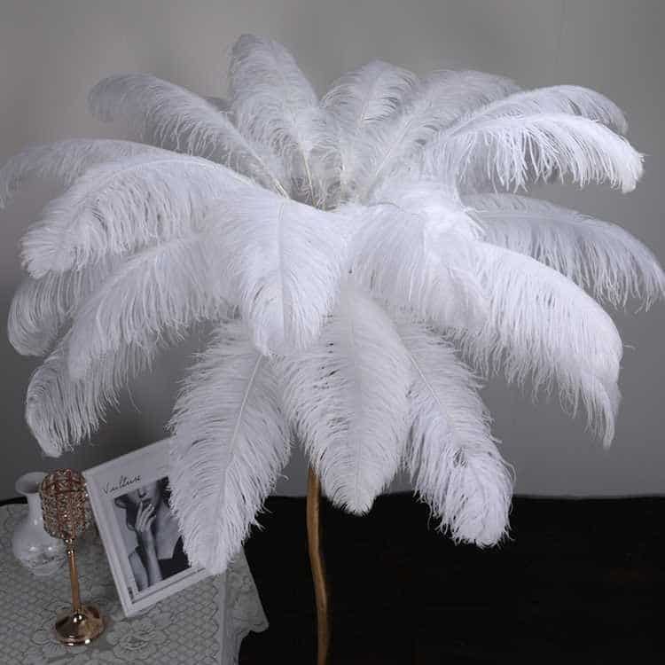 Decorating with feathers