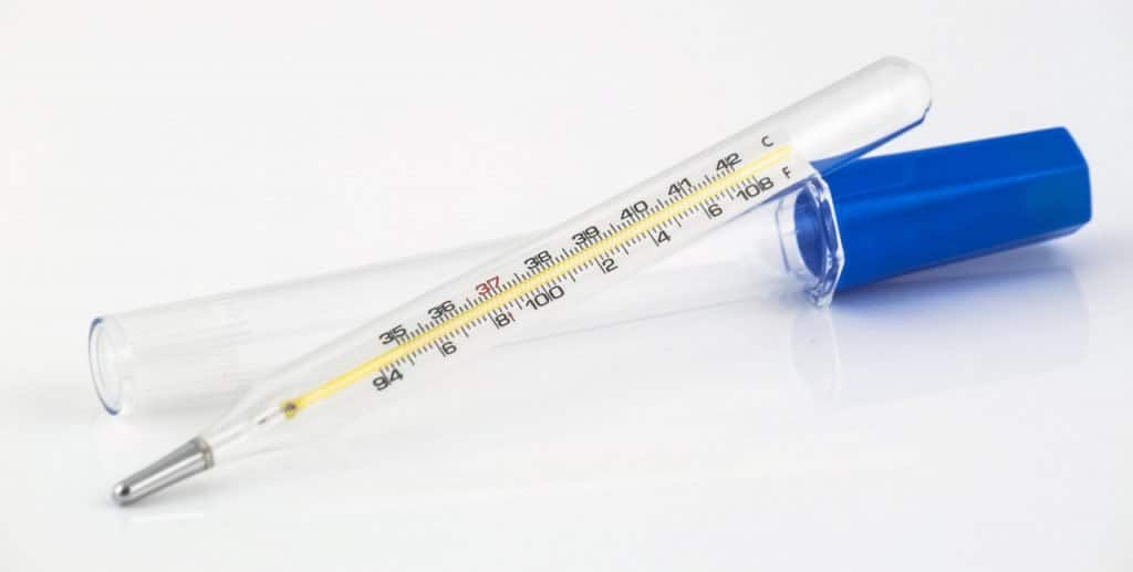 Mercury in glass Thermometer