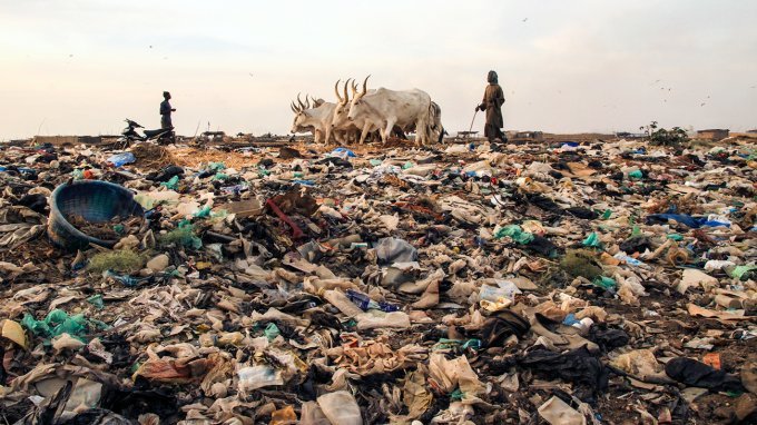 Soil Pollution