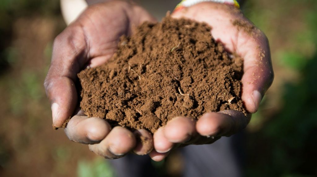 Soil 1 Soil