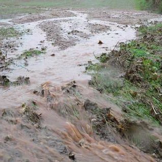 Surface water runoff