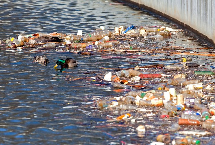 Water-Pollution