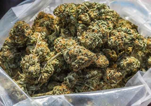 Types of Drug Trafficked 2 cannabis
