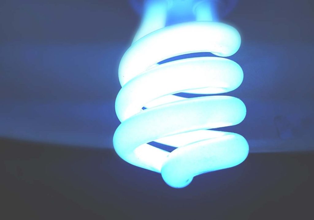 bulb