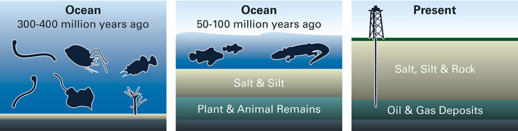 Formation of Crude Oil 1 oilgas formation