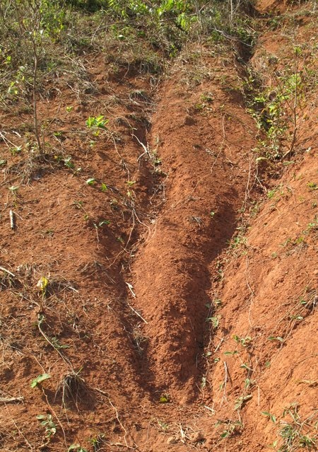 Soil Erosion | Definition, Types, Causes 5 rill_erosion