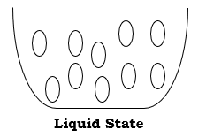 States of Matter 4 s25