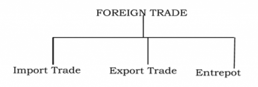 Branches of Foreign Trade