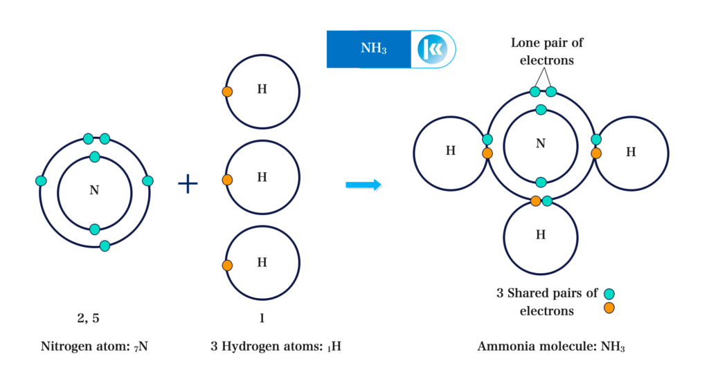 Covalent bonding 6 Formation of Ammonia 2