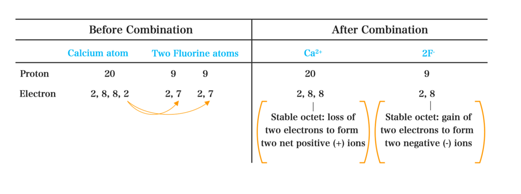 Electrovalent Bonding (Ionic) 6 Formation of Calcium Fluoride