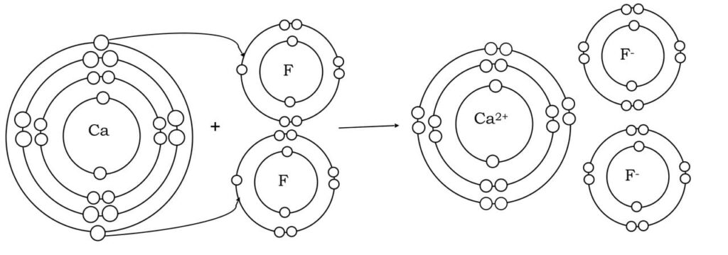 Electrovalent Bonding (Ionic) 7 Screen Shot 2021 01 17 at 1.30.11 PM Easy Resize.com 1