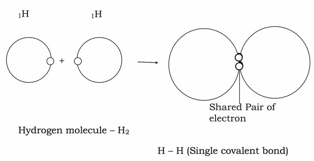 Covalent bonding 2 Screen Shot 2021 01 17 at 1.58.05 PM Easy Resize.com