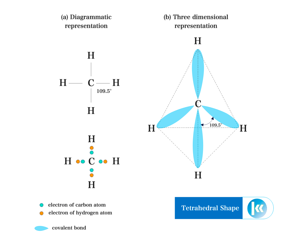 Shapes of Covalent Molecules 6 Tetrahedral shape of the methane molecule 4