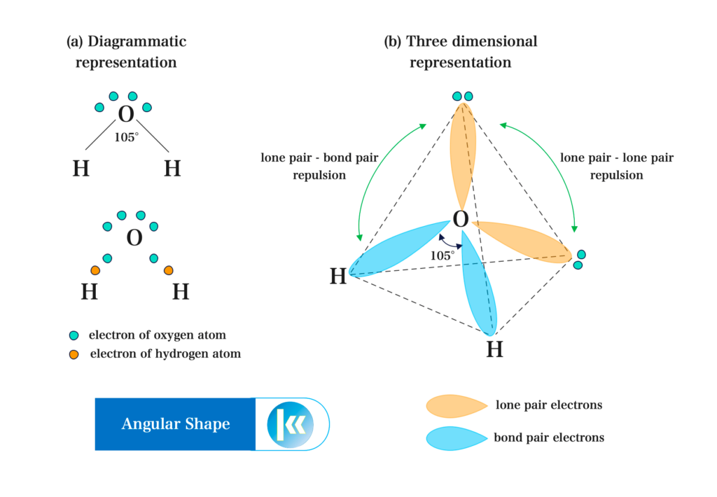 Shapes of Covalent Molecules 7 The angular shape of the water molecule
