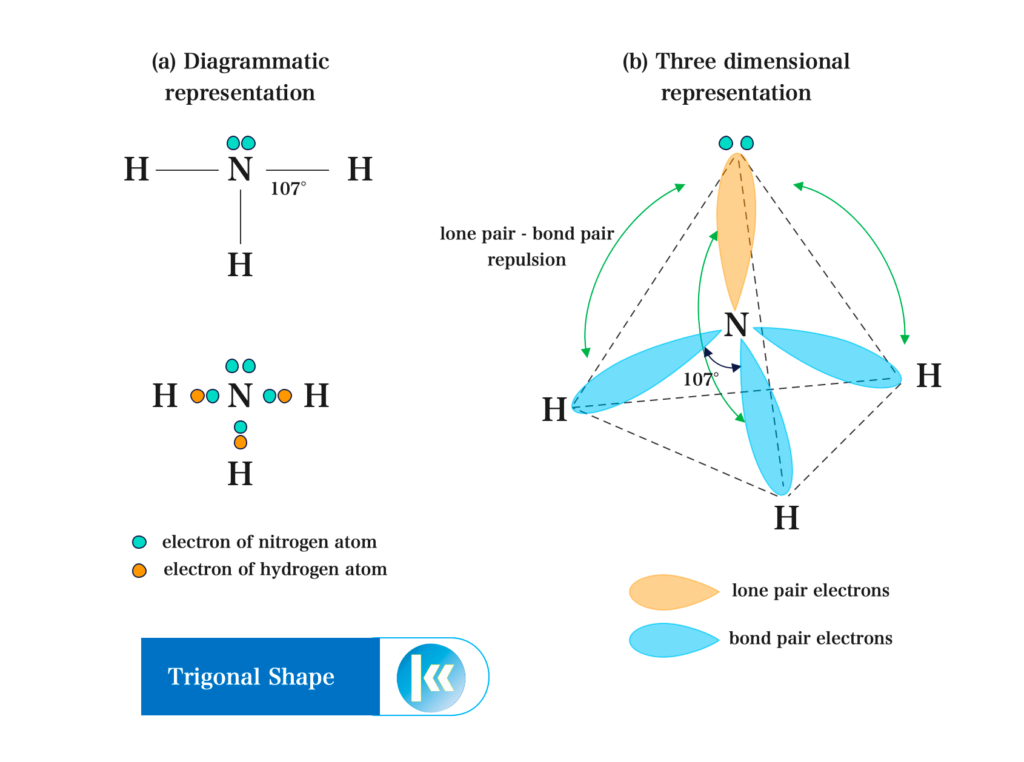 Shapes of Covalent Molecules 8 Trigonal pyramidal shape of the ammonia molecule