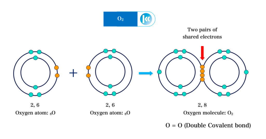 Covalent bonding 3 formation of O2