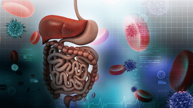 SS2: BIOLOGY – 1ST TERM