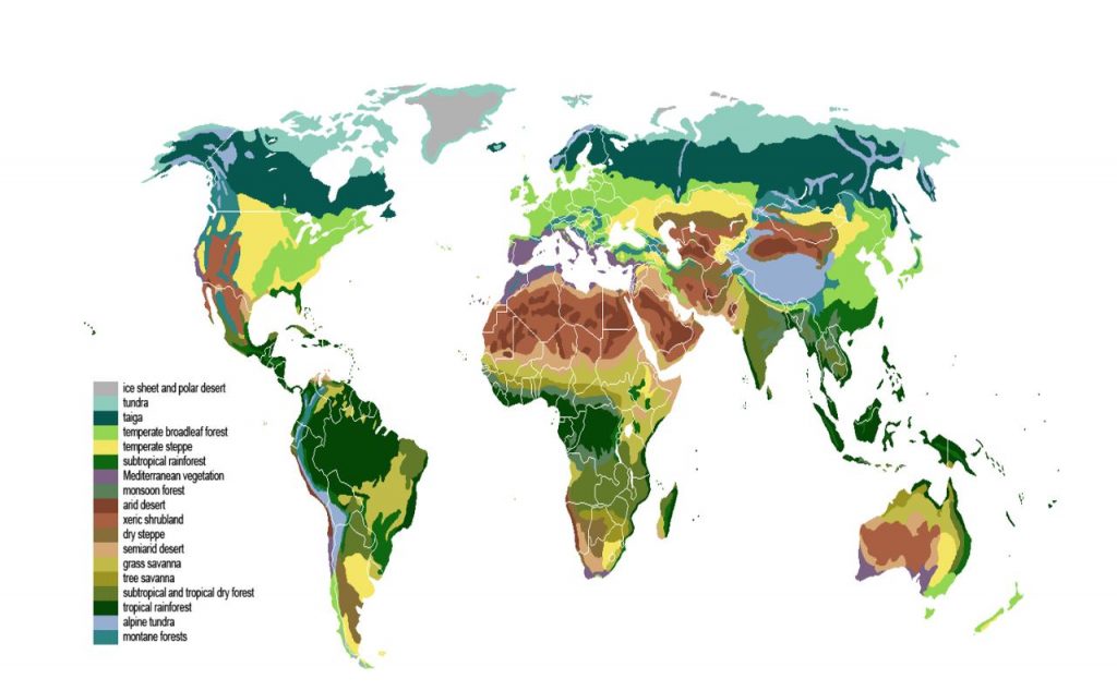 Major Biomes of the World