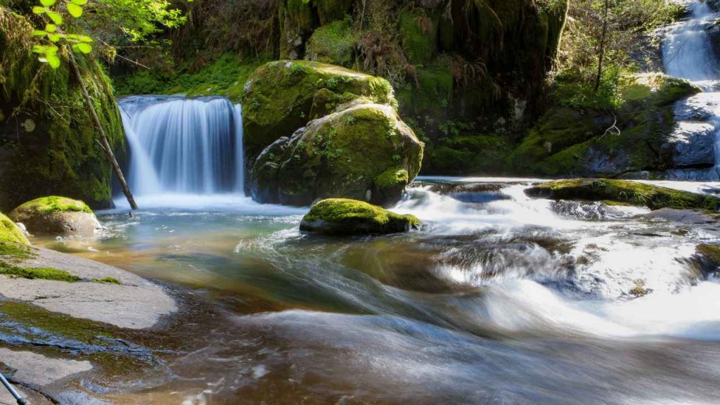 Ecological Factors of Aquatic Habitats 1 Stream