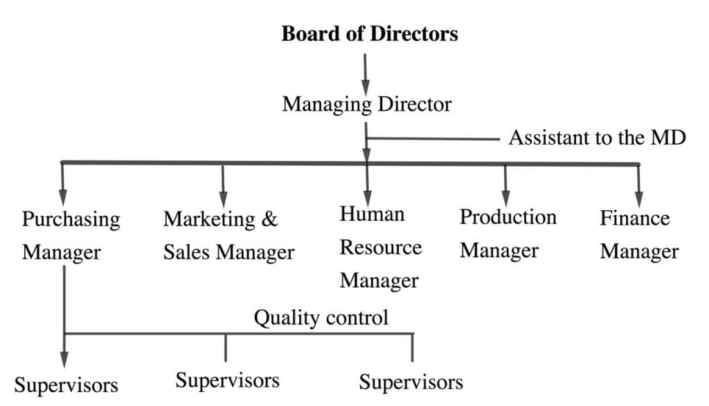 line and staff structure 